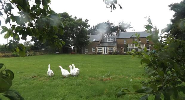 Cragside @ Stenmuir Apartment เคลโซ ภายนอก รูปภาพ